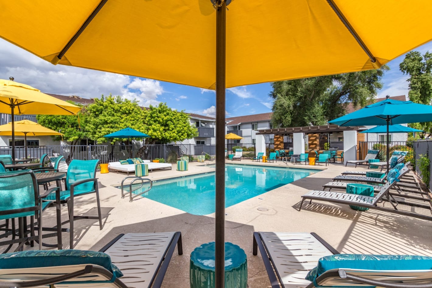 Photos and Video of Arcadia Walk in Phoenix, AZ